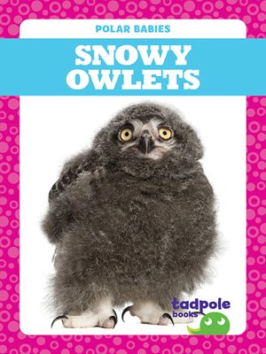 cover image of Snowy Owlets